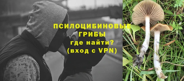 a pvp Беломорск