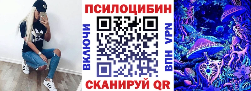 закладка  Владивосток  Галлюциногенные грибы мухоморы 